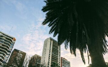 En las Barrancas de Belgrano, los grupos de amigos se tiran al pasto y comparten un mate. Foto: BAC.