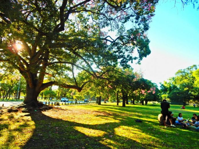 Picnic Buenos Aires