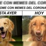 memes_del_coronavirus_-_foto_twitter