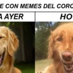 memes_del_coronavirus_-_foto_twitter