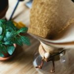 Fauna – café y plantas